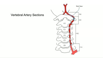 History of Cerebrovascular Disease Management;  James Ausman; Posterior circulation Disease;  Asian Congress of Neurological Surgeons- YNSS; cerebrovascular disease; surgery; Medical; Interventional; New treatments; Future