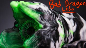 Bad Dragon Ledo Review